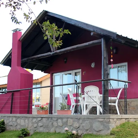 Lilac Cabin, The Fox
